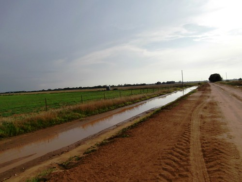 Rain too little, too late