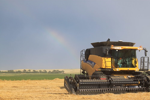 A little rainbow action.