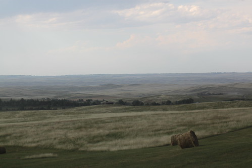 Believe it or not, there's a field down there!