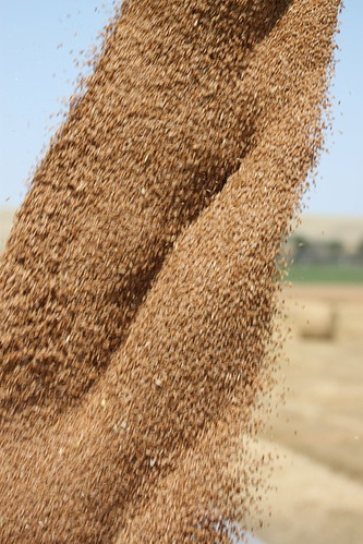 I'm a fan of these unloading photos lately.