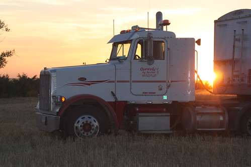 Petey, looking pretty.