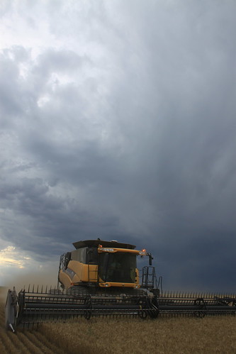 Trying to beat the rain.