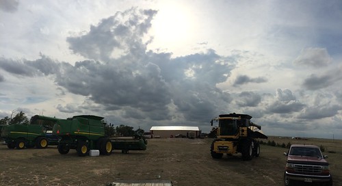 Z Crew: Funky clouds