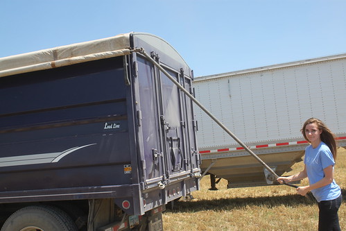 Sarah's first time tarping a truck! She looks impressed, doesn't she?