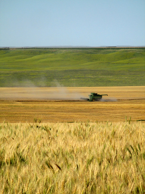 A birds eye view of the combine