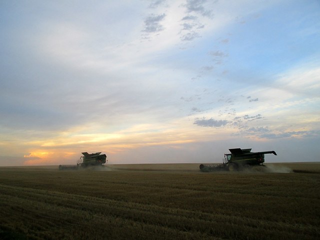 A Goodland night sky