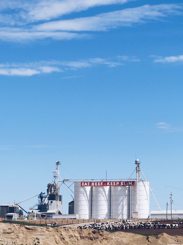 Z Crew: Eat Beef. Keep Slim.