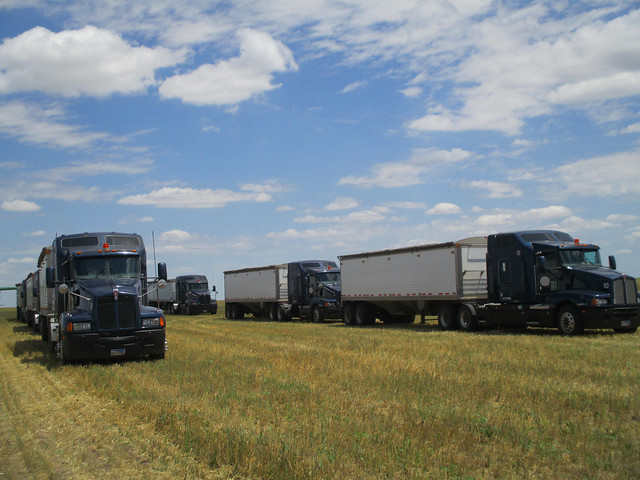 The fleet in all their glory