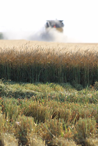 What a strange sight to see.