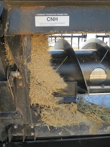 Z Crew: Dirty header