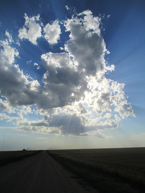 Clouds hang above our fied