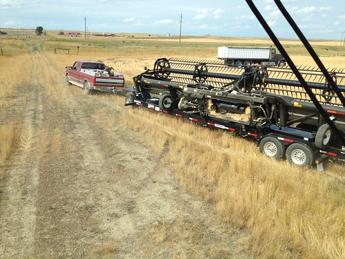 Z Crew: Moving Fields