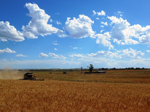 Perfect Nebraska view