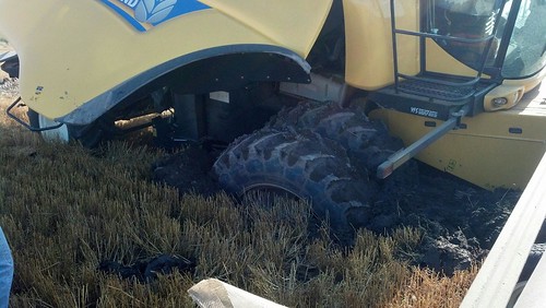 Tires almost completely buried