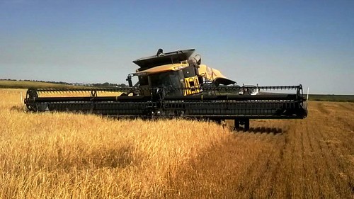 The combine sunk overnight