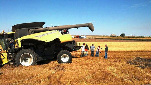 Group effort to get it pulled out