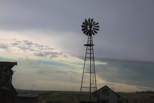 There were windmills everywhere!!!
