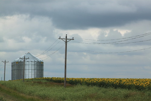 Some pretty SD scenery.