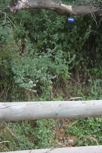 A spout where natural spring water comes out! Complete with its very own cup.