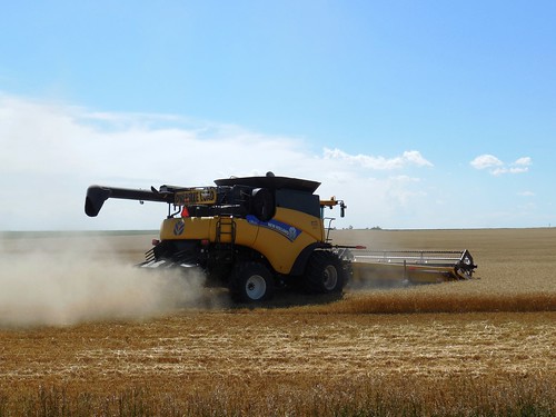Brandon opening up the field