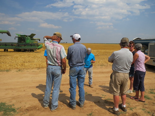 Z Crew: afternoon pow-wow