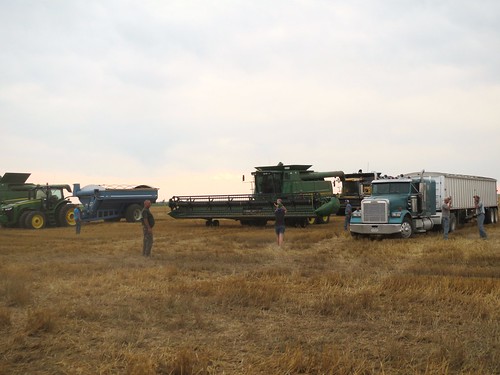 Z Crew: disperse after dinner