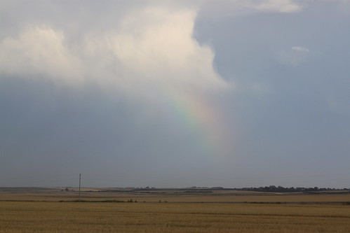 Got close enough to be pretty!