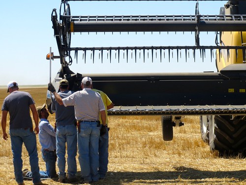 Z Crew: the best pit crew