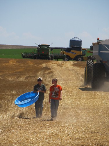 Z Crew: what is that!