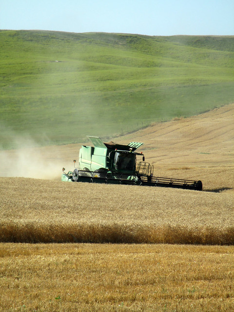 Alex cuts out a washout