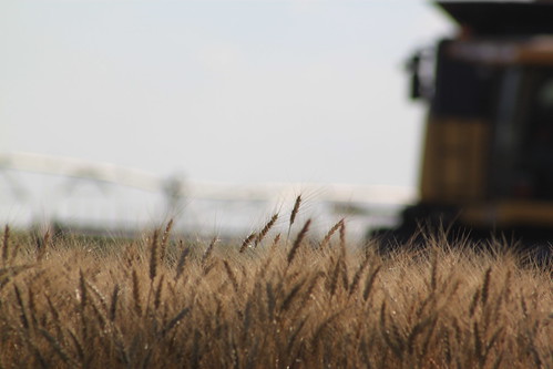 I should probably move.