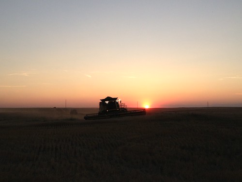 Fully loaded at dusk