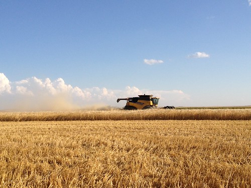 Cutting before the storm rolls in