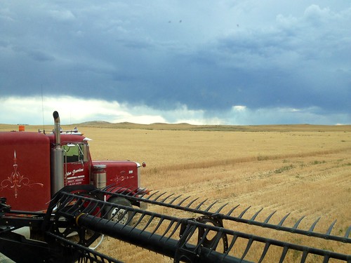 Z Crew: Storms Moving In