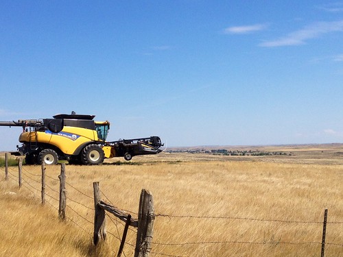 Z Crew: Opening a Field