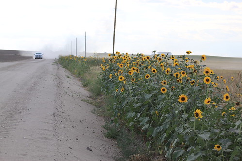 Mom coming with the header.