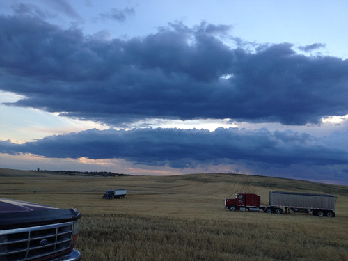 Z Crew: Cutting before dark