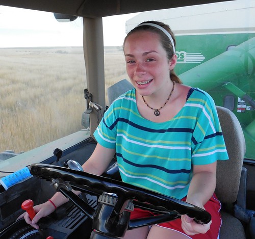 Taylor driving tractor