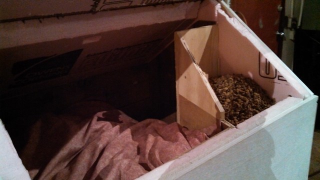 Emma: Meowing surprise