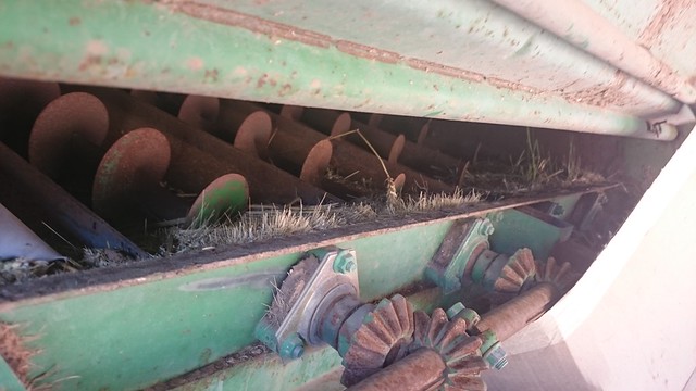 Emma: Harvest Kick Off