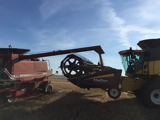 Z Crew: unloading grain from one combine to the other