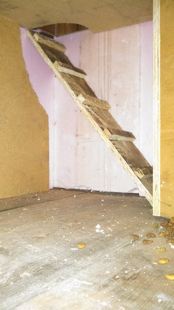 Emma: Meowing surprise