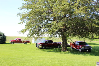 Z Crew: pretty little pickups