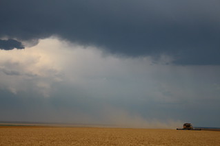 Trying to beat the storm.