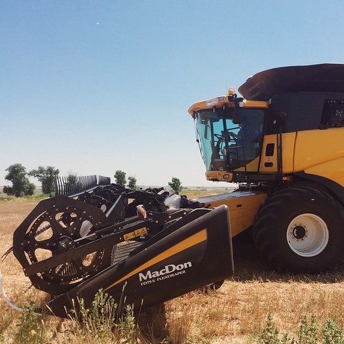 Z Crew: Side profile