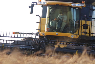 Brandon in the combine.