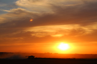 There goes another day.