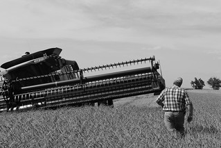 When dad sees you're stuck..