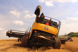 On the side of the terrace.