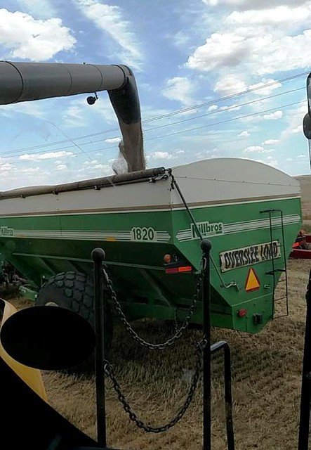 Unloading on the grain cart